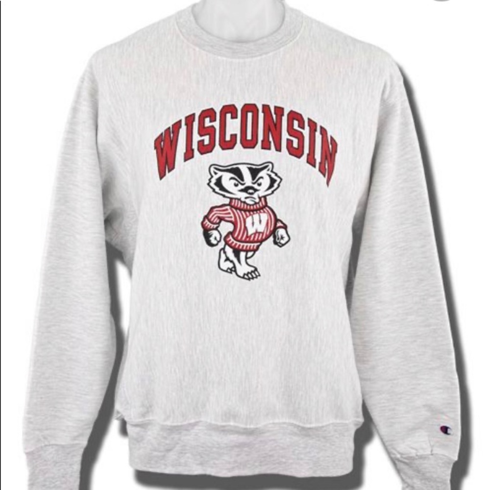 Champion Wisconsin sweatshirt brand new but no tags